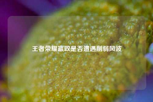 王者荣耀嬴政是否遭遇削弱风波