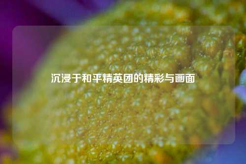 沉浸于和平精英团的精彩与画面
