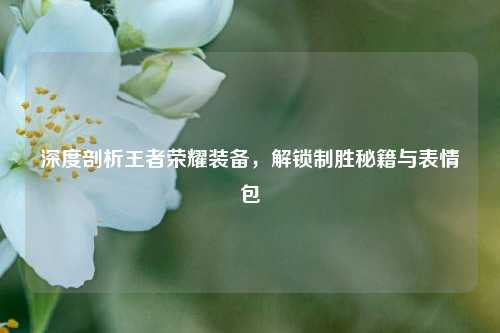 深度剖析王者荣耀装备，解锁制胜秘籍与表情包