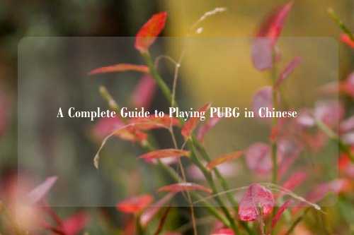 A Complete Guide to Playing PUBG in Chinese