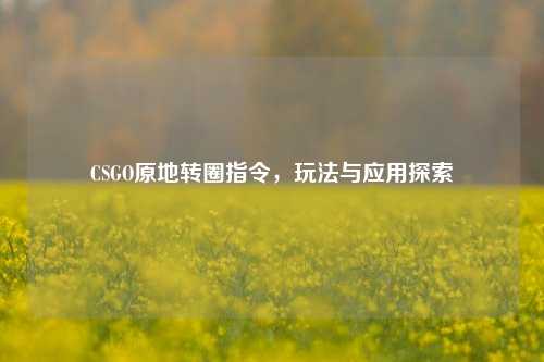 CSGO原地转圈指令,玩法与应用探索