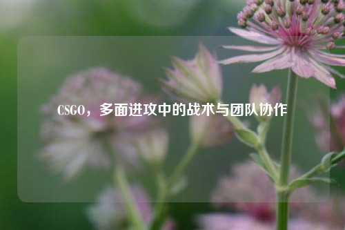 CSGO,多面进攻中的战术与团队协作