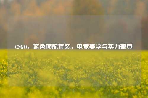 CSGO,蓝色顶配套装,电竞美学与实力兼具