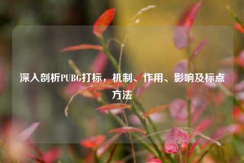 深入剖析PUBG打标,机制、作用、影响及标点方法