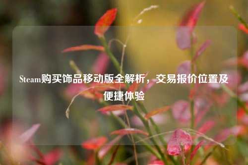Steam购买饰品移动版全解析,交易报价位置及便捷体验