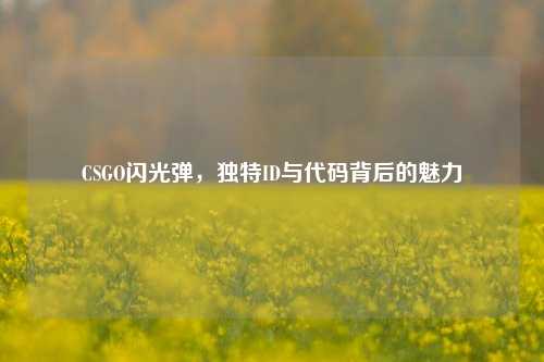 CSGO闪光弹，独特ID与代码背后的魅力