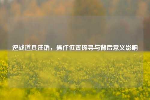 逆战道具注销,操作位置探寻与背后意义影响