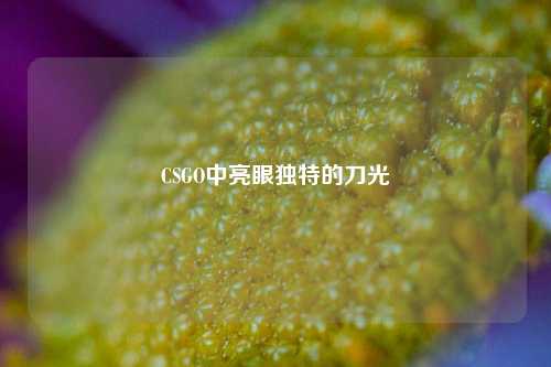 CSGO中亮眼独特的刀光