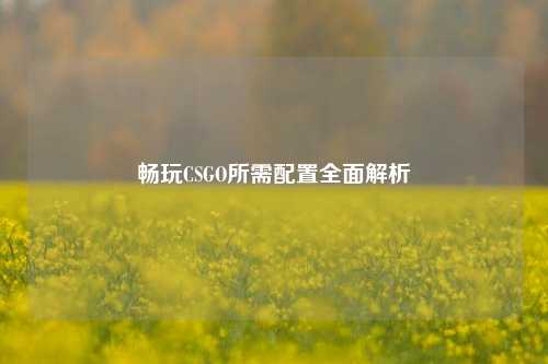 畅玩CSGO所需配置全面解析