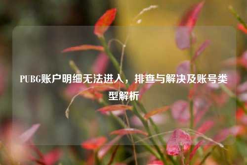 PUBG账户明细无法进入，排查与解决及账号类型解析