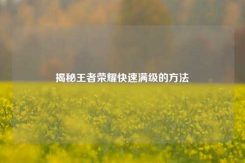 揭秘王者荣耀快速满级的方法