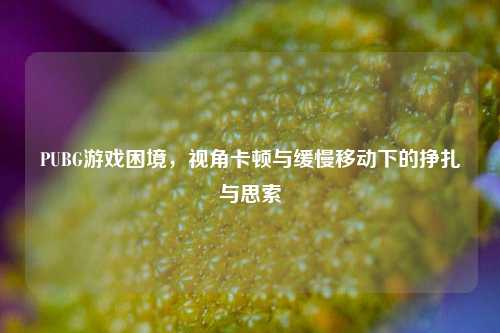 PUBG游戏困境，视角卡顿与缓慢移动下的挣扎与思索