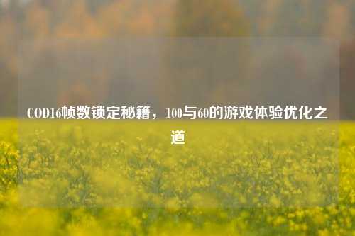 COD16帧数锁定秘籍，100与60的游戏体验优化之道