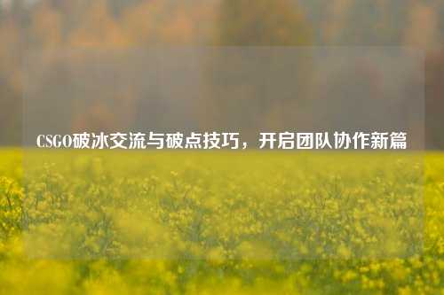 CSGO破冰交流与破点技巧,开启团队协作新篇