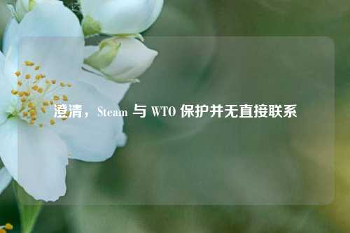 澄清，Steam 与 WTO 保护并无直接联系