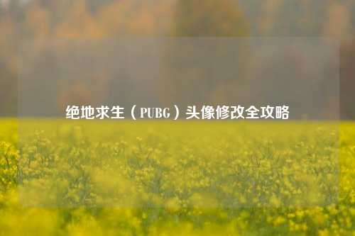 绝地求生（PUBG）头像修改全攻略