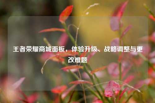 王者荣耀商城面板,体验升级、战略调整与更改难题
