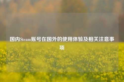 国内Steam账号在国外的使用体验及相关注意事项