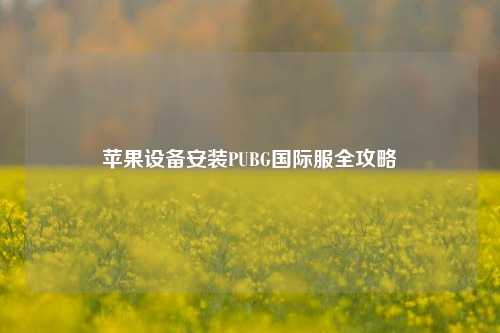 苹果设备安装PUBG国际服全攻略