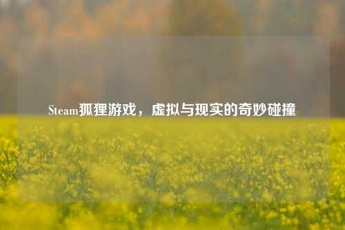 Steam狐狸游戏，虚拟与现实的奇妙碰撞