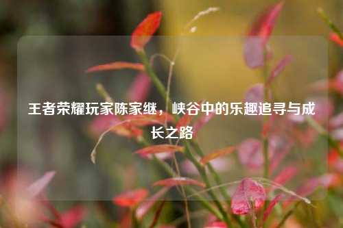 王者荣耀玩家陈家继,峡谷中的乐趣追寻与成长之路