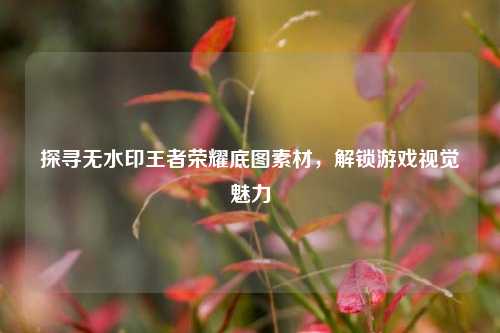 探寻无水印王者荣耀底图素材,解锁游戏视觉魅力