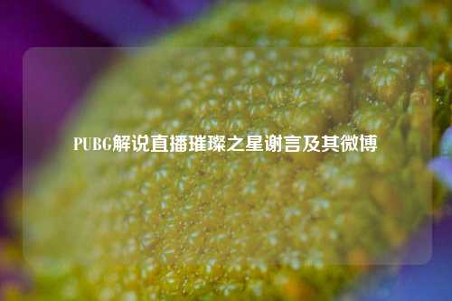 PUBG解说直播璀璨之星谢言及其微博