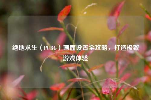 绝地求生（PUBG）画面设置全攻略，打造极致游戏体验