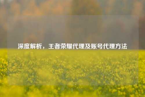 深度解析，王者荣耀代理及账号代理方法