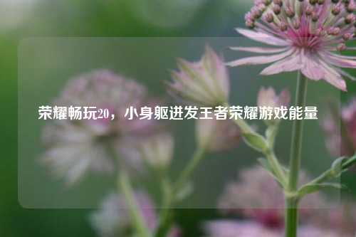 荣耀畅玩20，小身躯迸发王者荣耀游戏能量