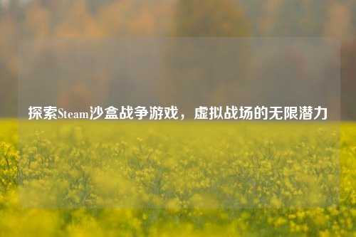 探索Steam沙盒战争游戏，虚拟战场的无限潜力