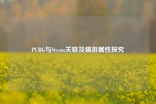 PUBG与Steam关联及端游属性探究