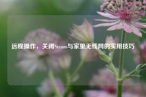 远程操作,关闭Steam与家里无线网的实用技巧