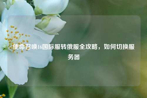 使命召唤16国际服转俄服全攻略，如何切换服务器