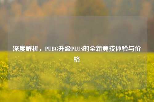 深度解析，PUBG升级PLUS的全新竞技体验与价格