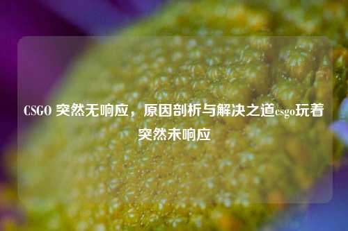CSGO 突然无响应,原因剖析与解决之道csgo玩着突然未响应