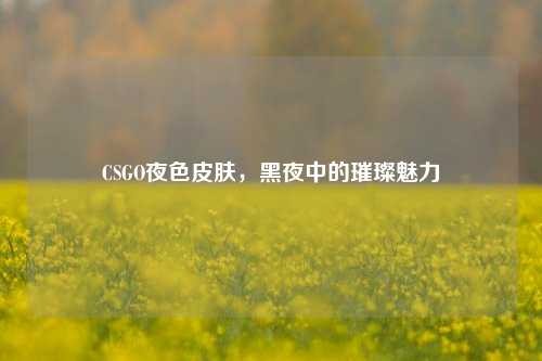 CSGO夜色皮肤,黑夜中的璀璨魅力