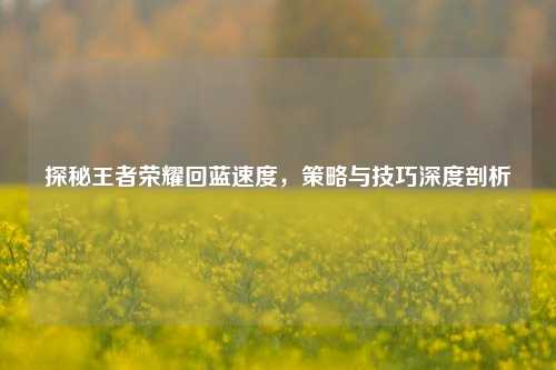 探秘王者荣耀回蓝速度,策略与技巧深度剖析