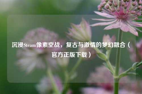 沉浸Steam像素空战,复古与激情的梦幻融合(官方正版下载)