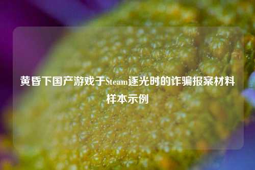 黄昏下国产游戏于Steam逐光时的诈骗报案材料样本示例