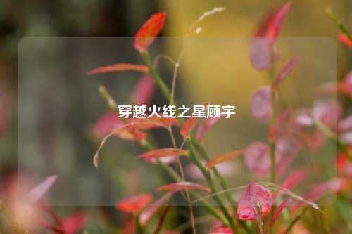 穿越火线之星顾宇