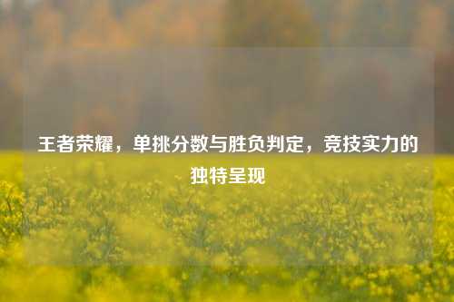 王者荣耀,单挑分数与胜负判定,竞技实力的独特呈现
