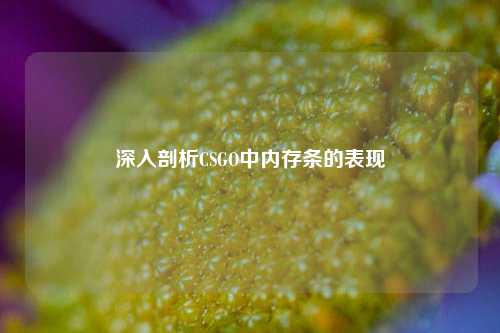 深入剖析CSGO中内存条的表现