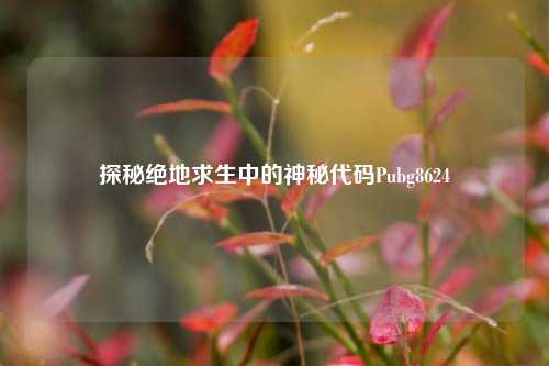 探秘绝地求生中的神秘代码Pubg8624