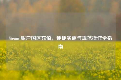 Steam 账户国区充值,便捷实惠与规范操作全指南