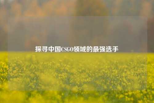 探寻中国CSGO领域的最强选手