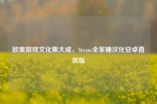 欧美游戏文化集大成，Steam全家桶汉化安卓直装版