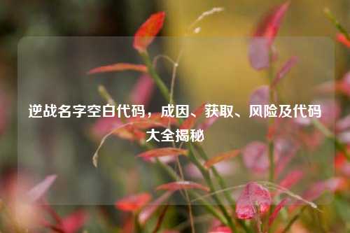 逆战名字空白代码,成因、获取、风险及代码大全揭秘