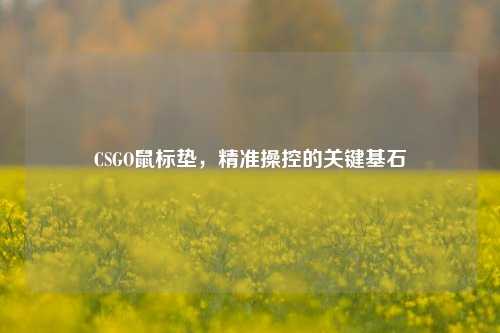 CSGO鼠标垫,精准操控的关键基石
