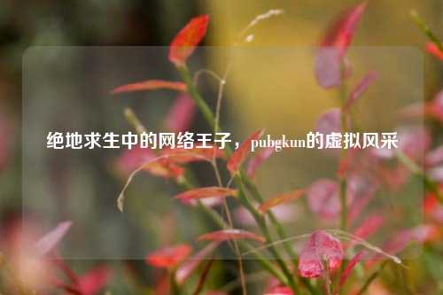 绝地求生中的网络王子,pubgkun的虚拟风采